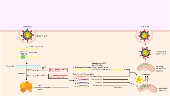 Fig. 2