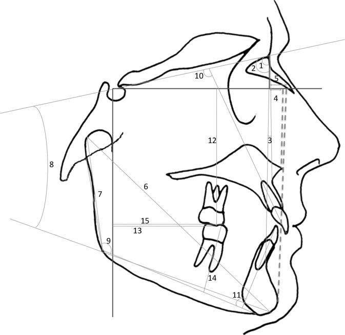 Figure 2.