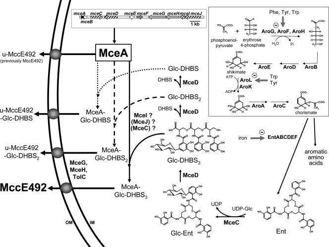 FIG. 6.