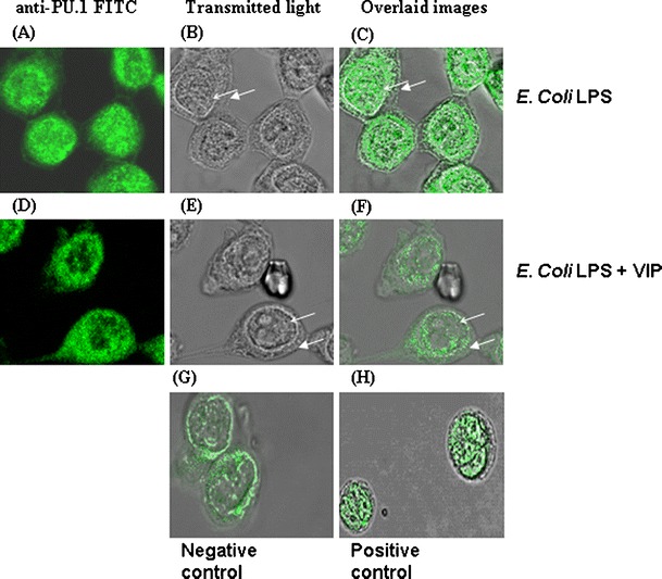 Fig. 4