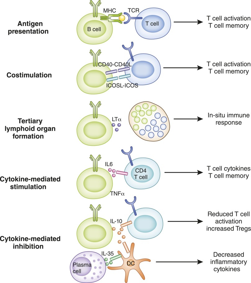 Figure 6.