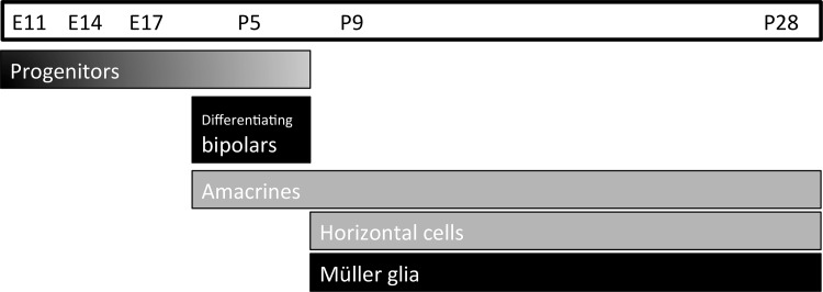 Fig 7