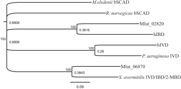 FIGURE 5