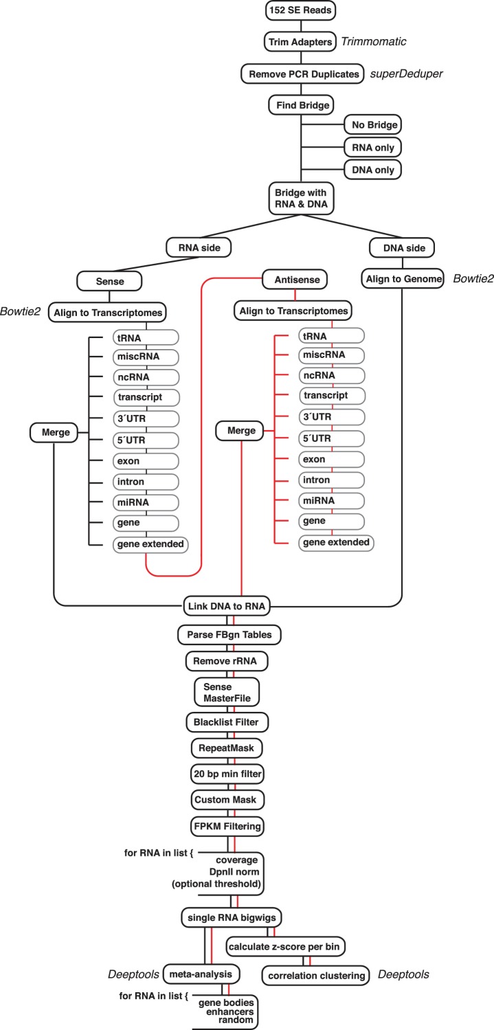 Figure 1—figure supplement 3.