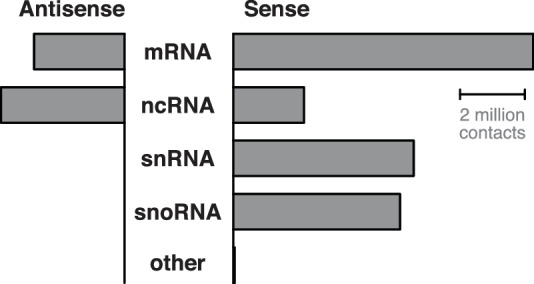 Figure 1—figure supplement 7.