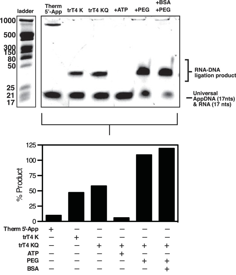 Figure 1—figure supplement 2.