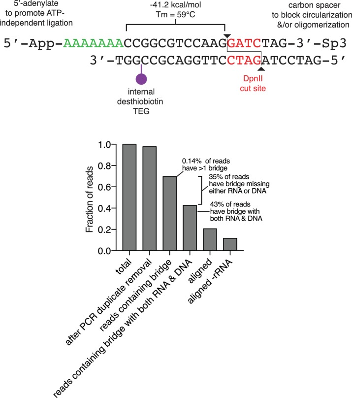 Figure 1—figure supplement 1.