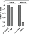 Figure 1—figure supplement 4.