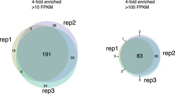 Figure 2—figure supplement 2.