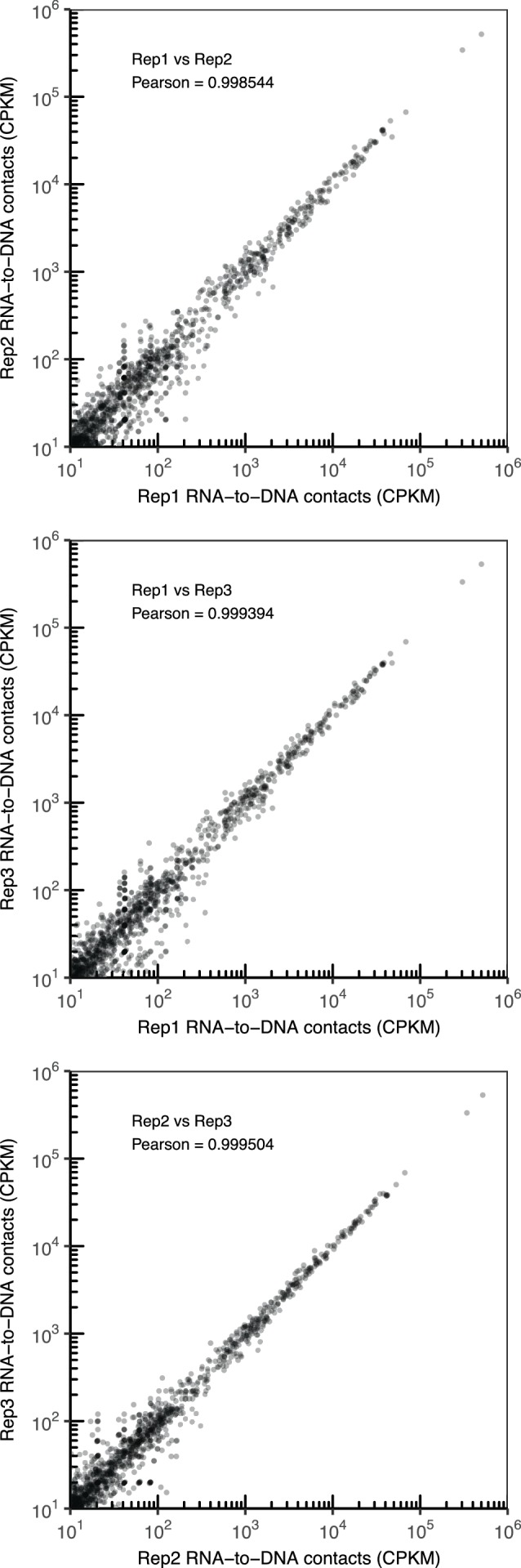 Figure 1—figure supplement 5.