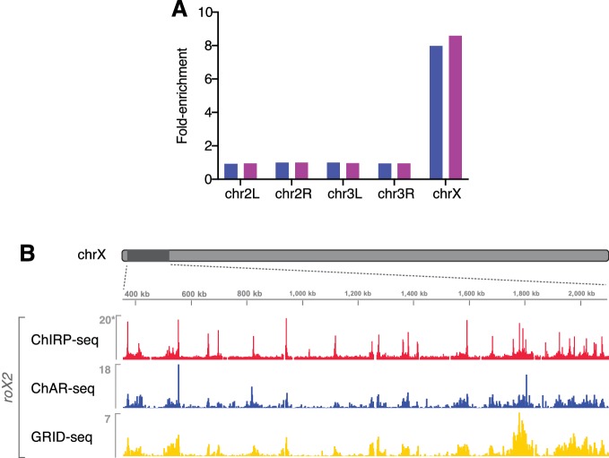 Figure 3—figure supplement 1.