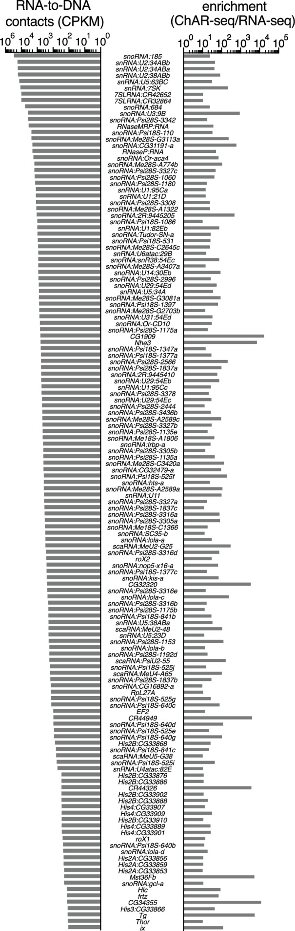 Figure 2—figure supplement 1.