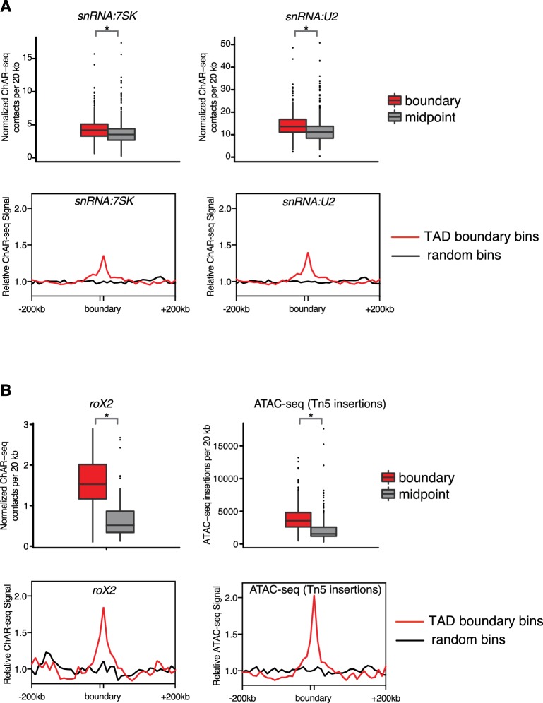 Figure 4—figure supplement 2.