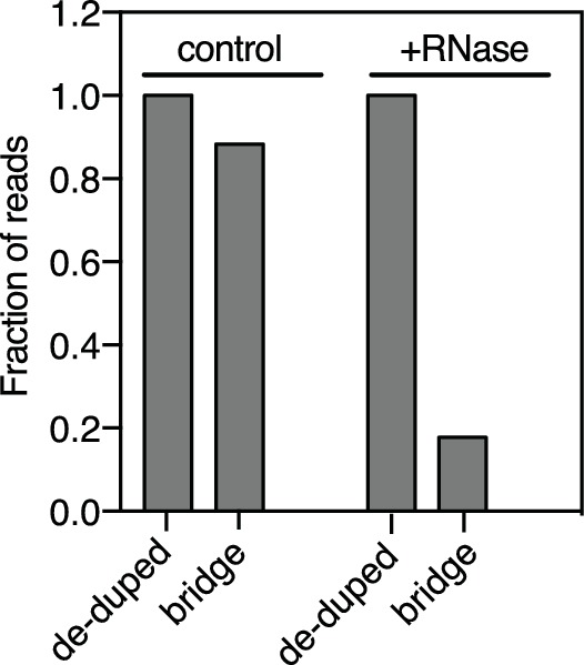 Figure 1—figure supplement 4.