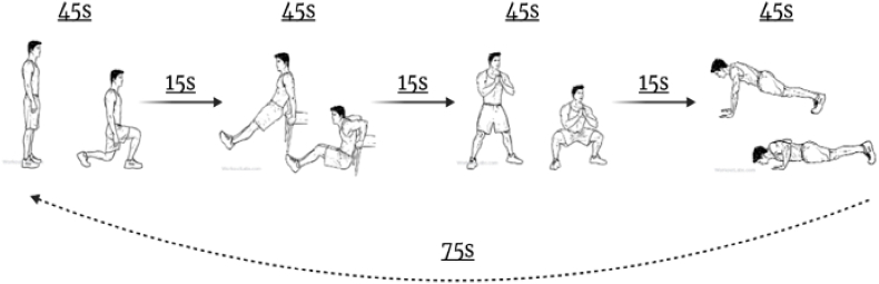 Fig. 1