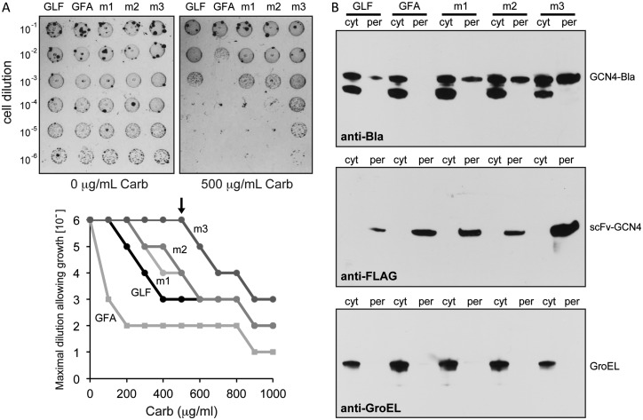 Fig. 2.