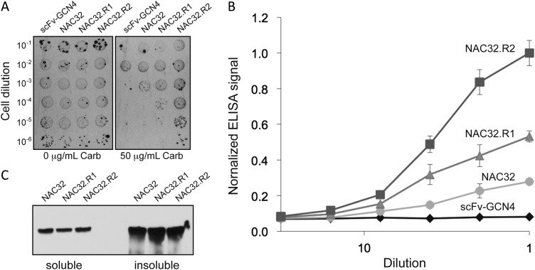 Fig. 4.