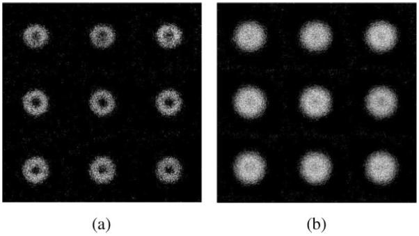 Fig. 10