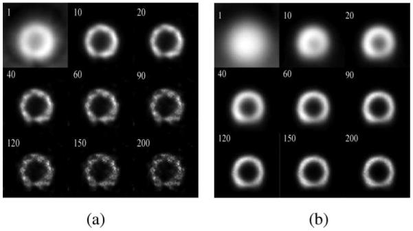 Fig. 9