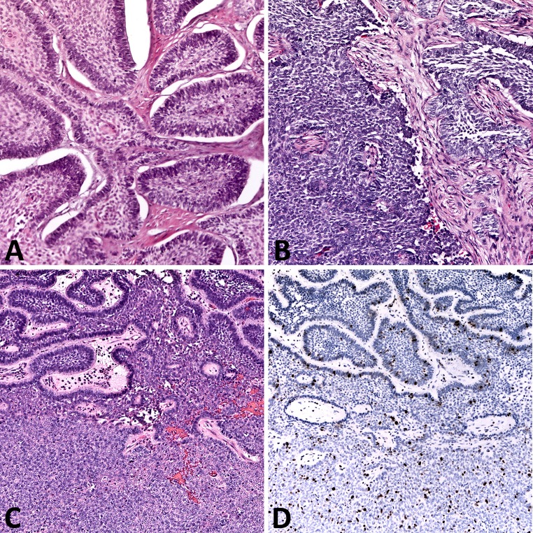 Fig. 3