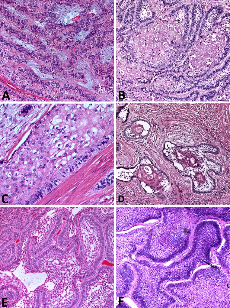 Fig. 2