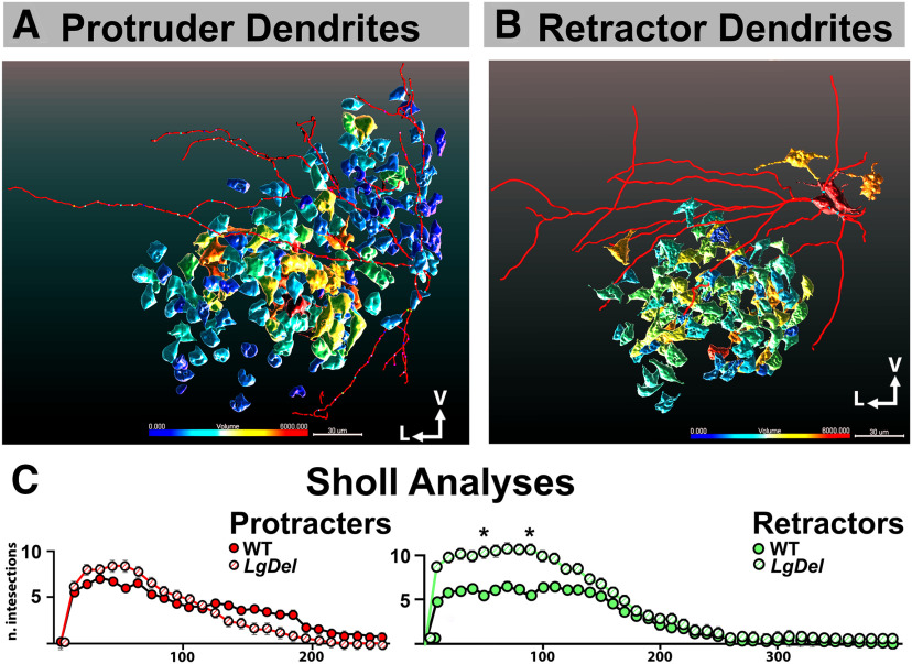 Figure 6.