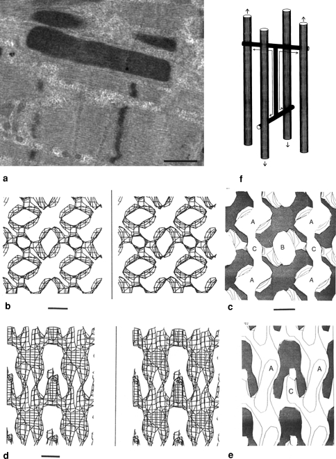 Fig. 8