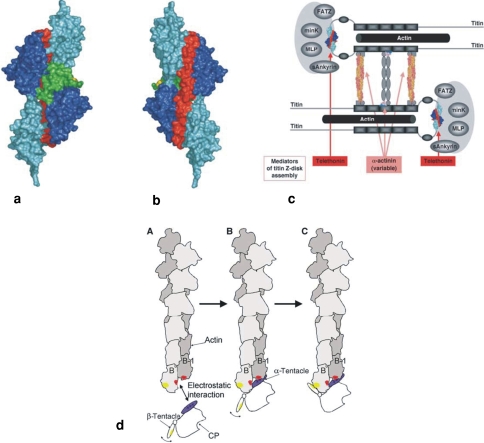 Fig. 10