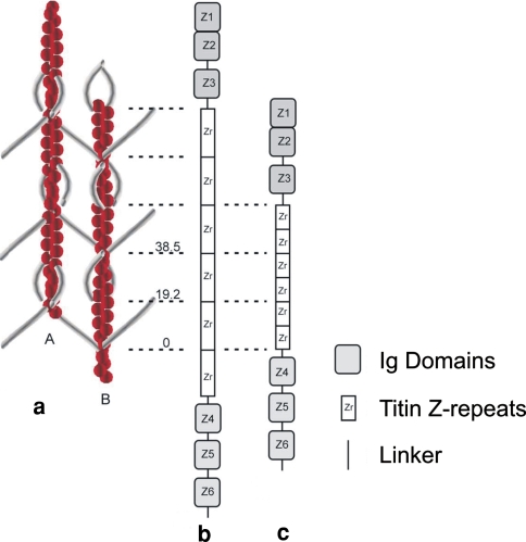 Fig. 9