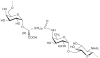 Fig. 30