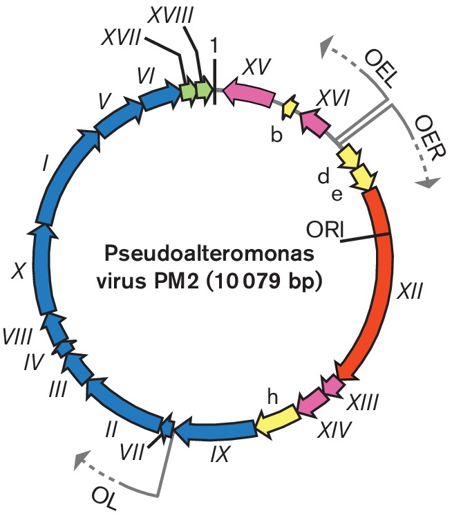 Fig. 2.