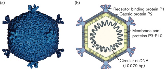 Fig. 1.