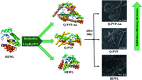 Scheme 3