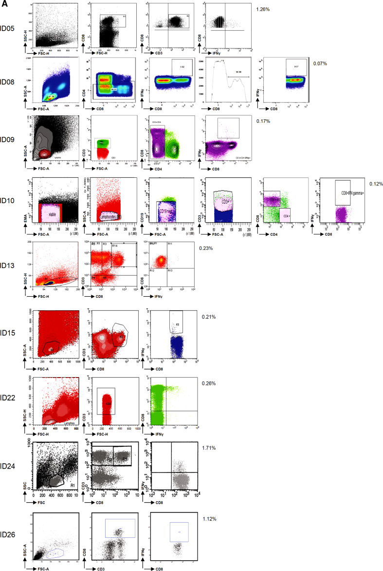 Fig. 1