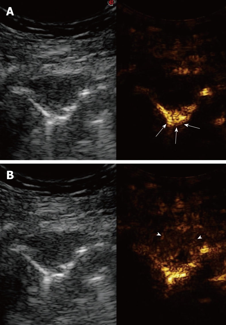 Figure 21