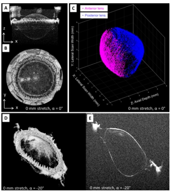 Fig. 8