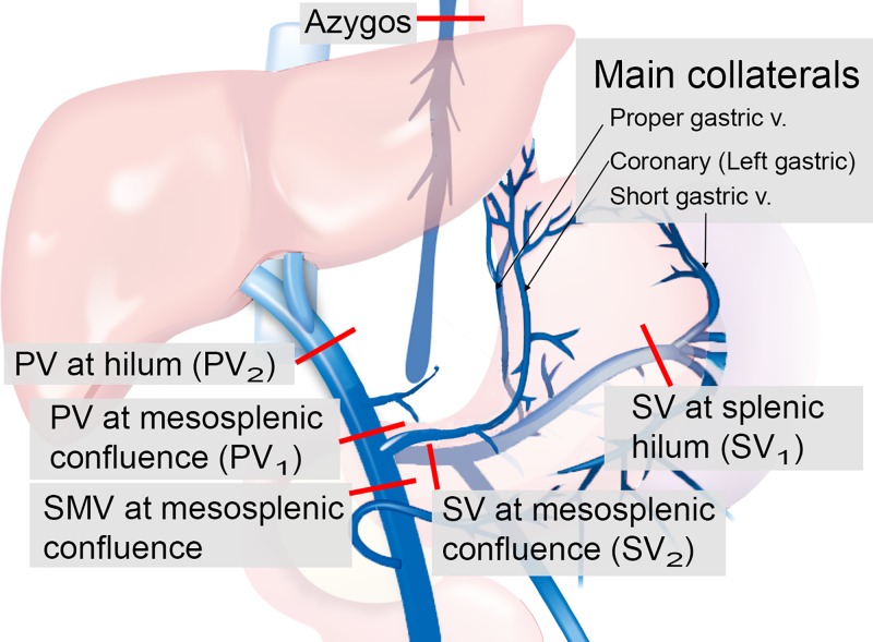 Figure 2: