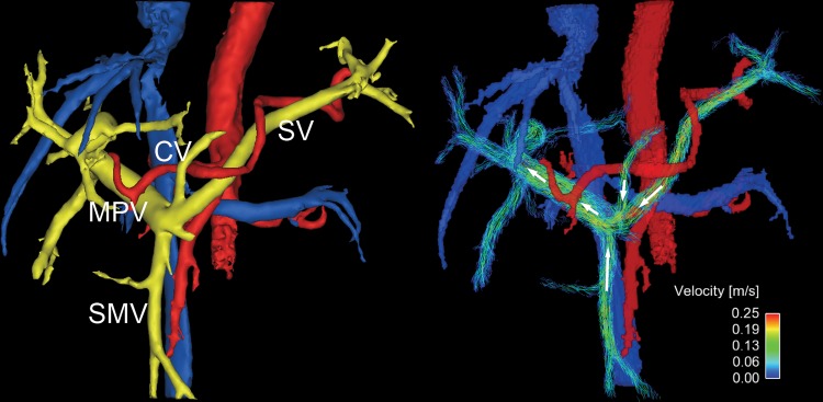 Figure 5: