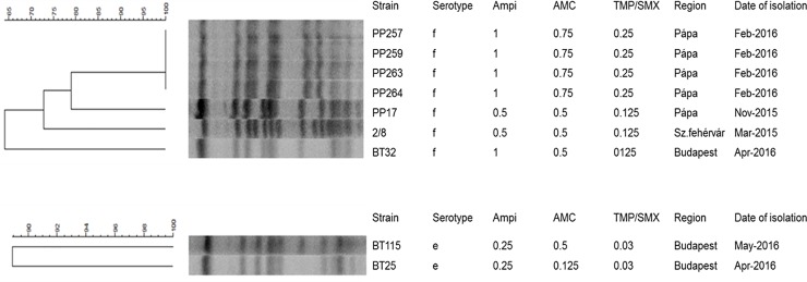 Fig 4