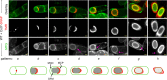 FIG 1