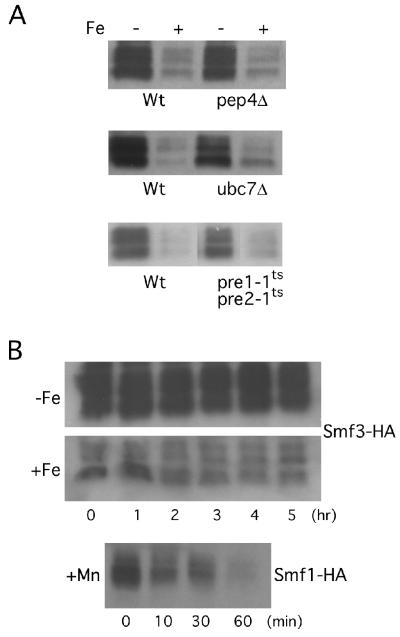 FIG. 6