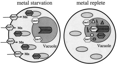 FIG. 9