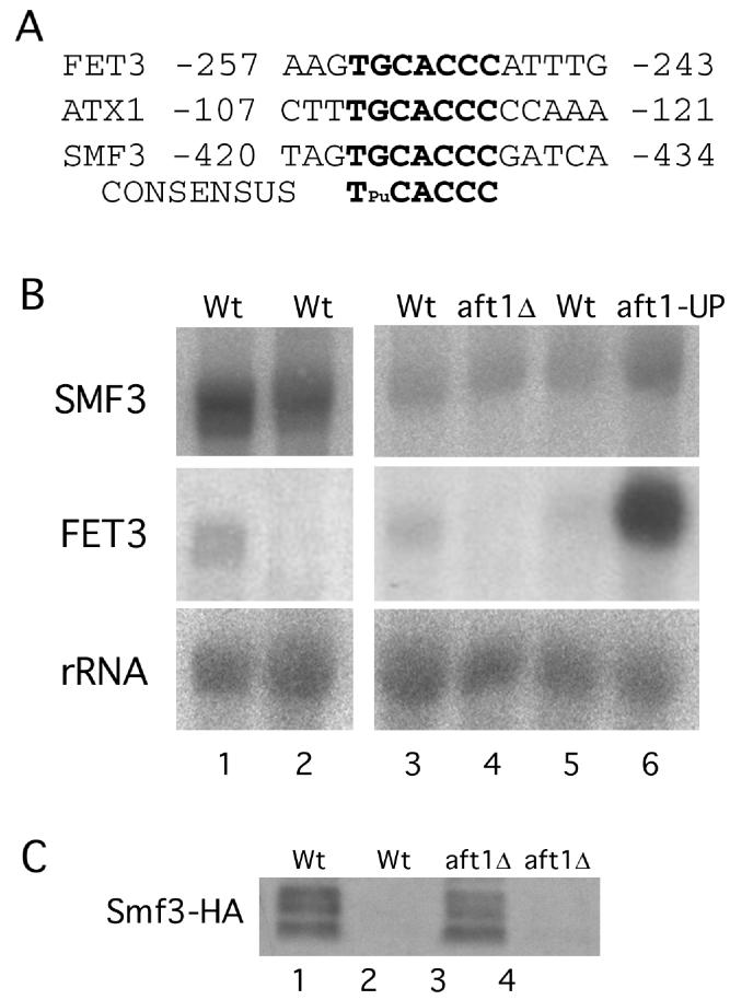 FIG. 5