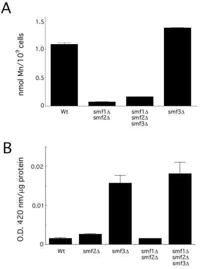 FIG. 8