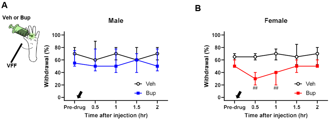 Fig. 10.