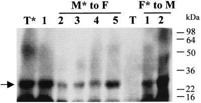 FIG. 5