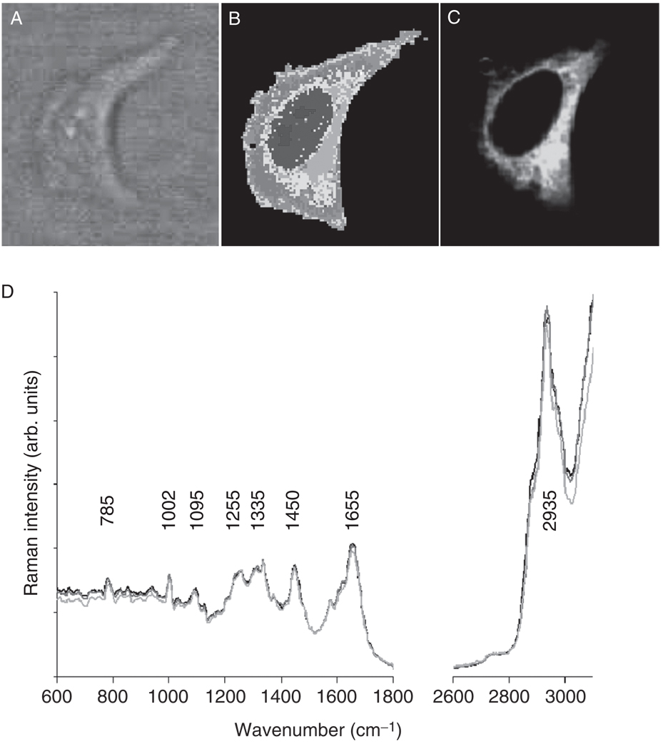 Fig. 11
