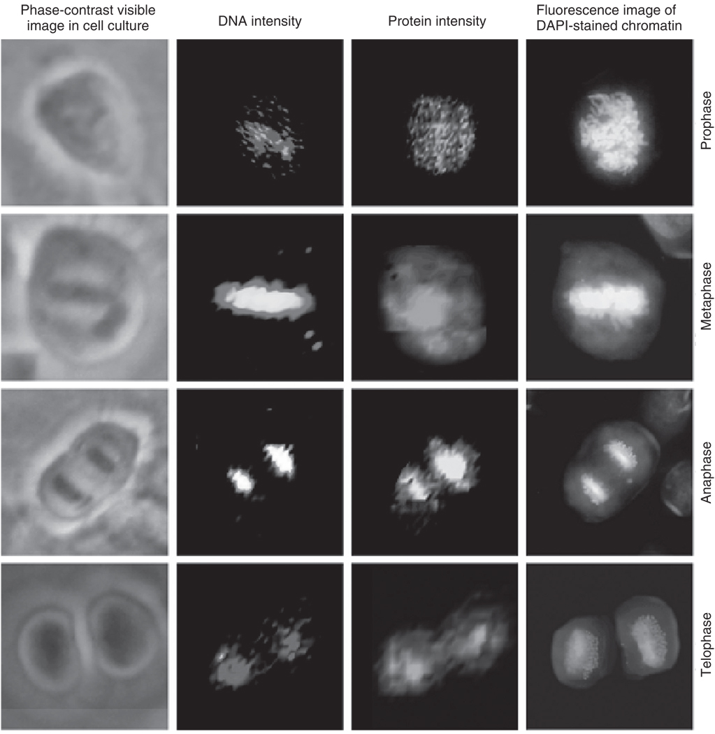 Fig. 10