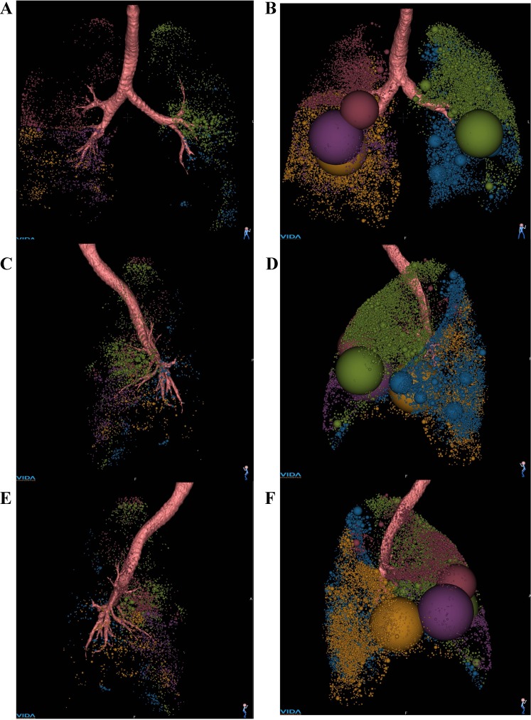 Fig. 9.