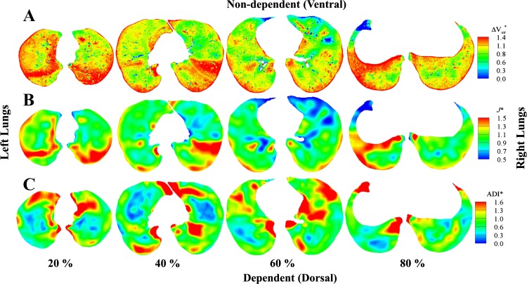 Fig. 8.